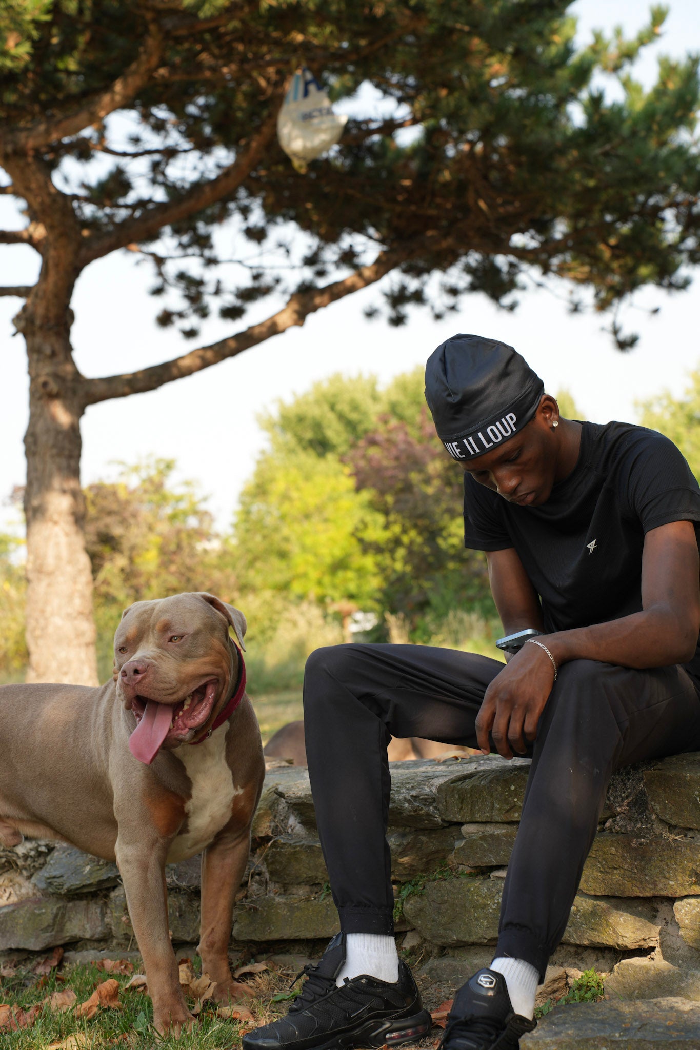 Bonnet VIE II LOUP